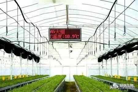 冬季使用微生物菌劑與物聯(lián)網(wǎng)應(yīng)用服務(wù)的關(guān)鍵注意事項(xiàng)